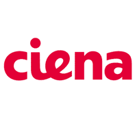 CIENA 130-4905-900 CIENA CN4200 OC192 1310NM XFP 10GB Other Networking